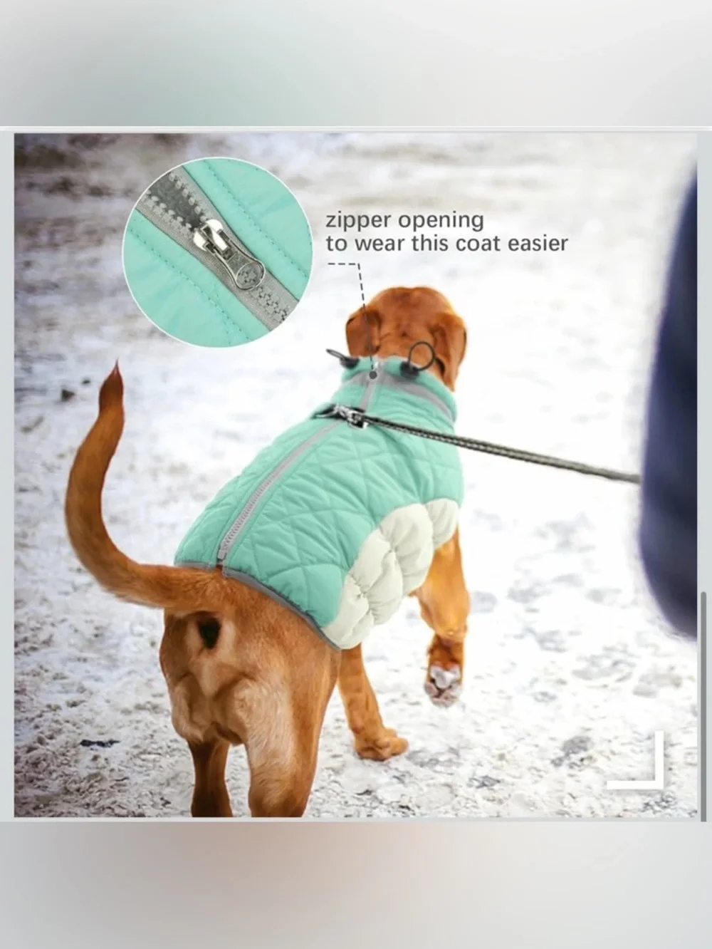 Waterproof XL Dog Winter Jacket With Harness Built In-Reflective 968-3
